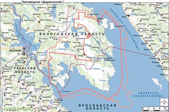 Фотография Дарвинский заповедник 4