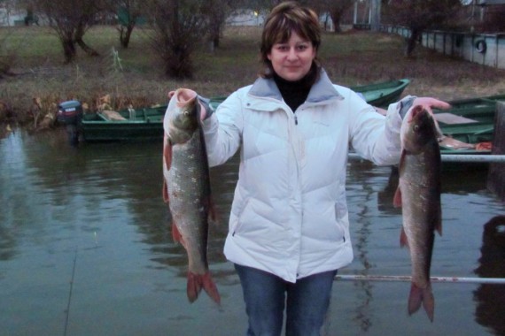 Фотография Рыболовно-охотничья база «Волга-Каспий 2009» 2