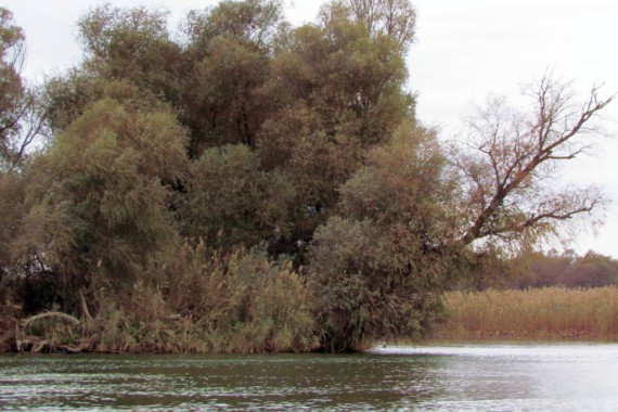 Фотография Рыболовно-охотничья база «Волга-Каспий 2009» 17