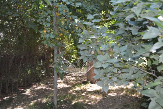 Фотография Рыболовно-охотничья база «Волга-Каспий 2009» 13