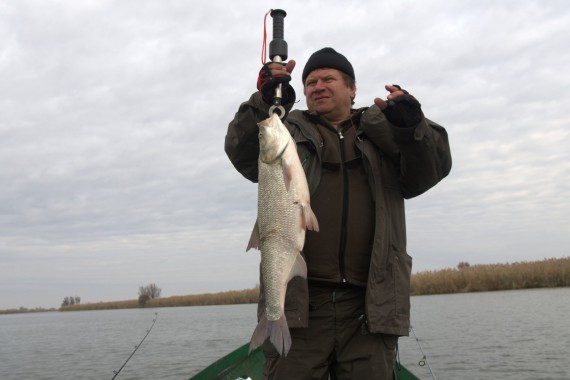 Фотография Рыболовно-охотничья база «Волга-Каспий 2009» 0