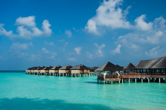 Фотография The Sun Siyam Iru Fushi 0