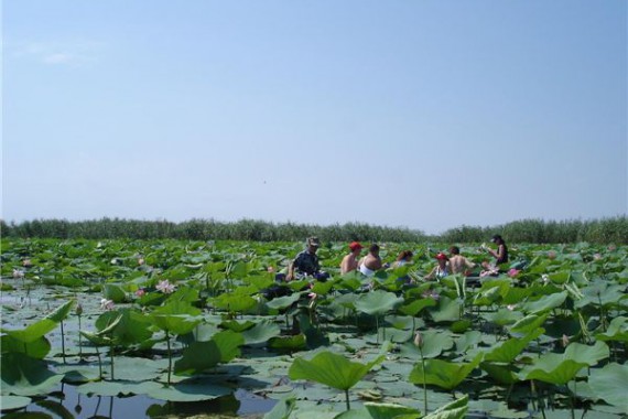 Фотография Рыболовно-охотничья база «Фишинг Холл» 13