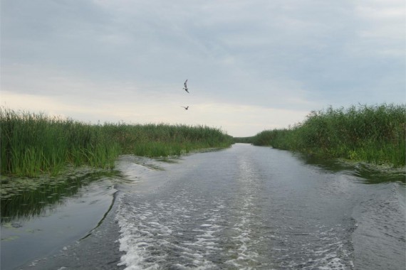 Фотография Рыболовно-охотничья база «Фишинг Холл» 9