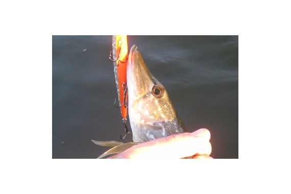 Фотография Гостевой дом «Судачок» 14