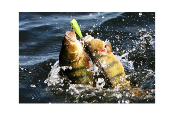 Фотография Рыболовно-охотничья база «Фишинг Холл» 18