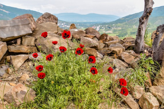 Фотография Монастырь Джвари 6