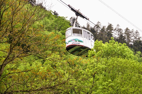 Фотография Городской парк 9