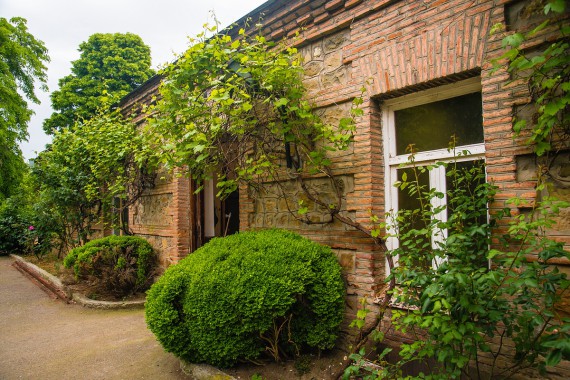 Фотография Музей-усадьба А.Чавчавадзе 20