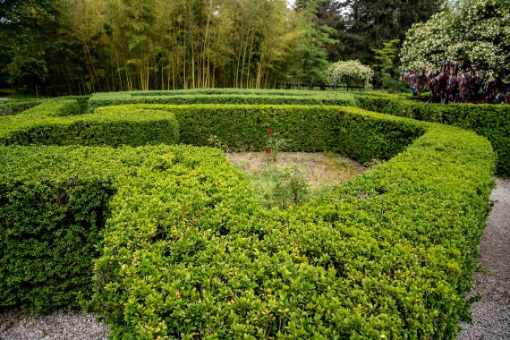 Фотография Музей-усадьба А.Чавчавадзе 3