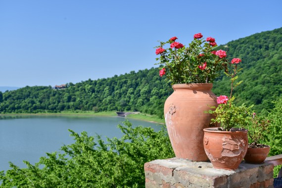 Фотография Отель «Ройал Батони» 1