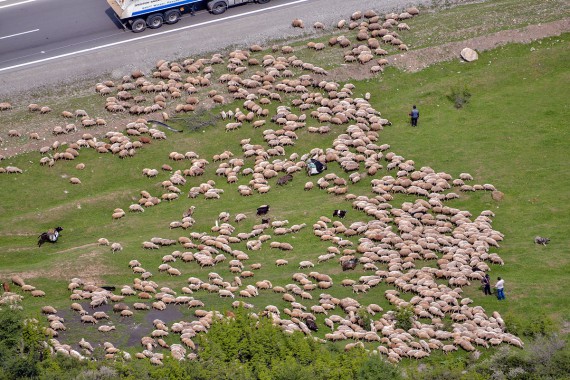 Фотография Монастырь Джвари 10