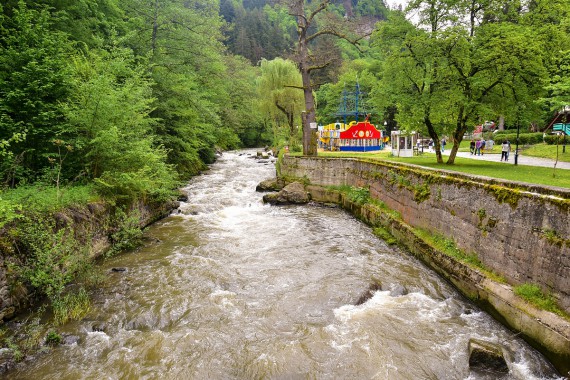 Фотография Городской парк 7