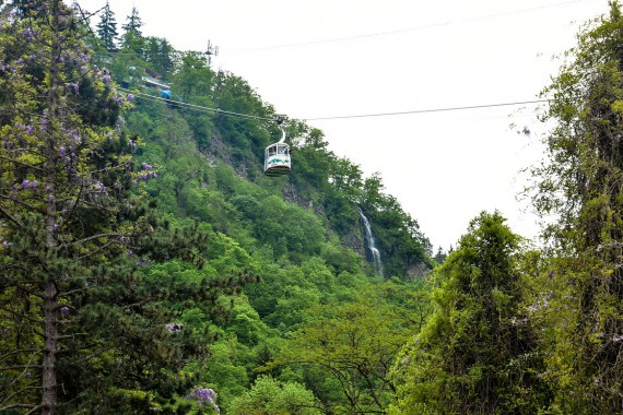 Фотография Городской парк 4