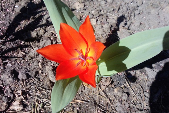 Фотография Рыболовно-охотничья база «Ухра» 21