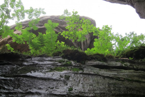 Фотография Каменный Город 59