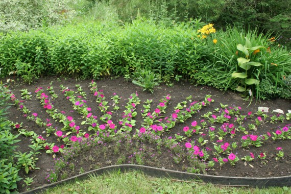 Фотография Ботанический сад им.Г.Демидова 13