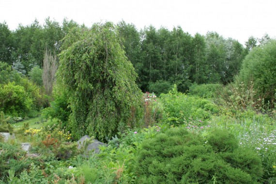 Фотография Ботанический сад им.Г.Демидова 2