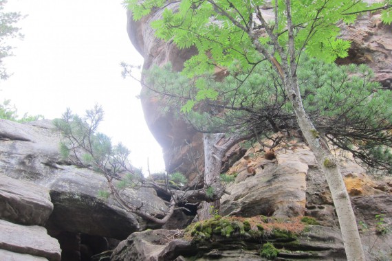 Фотография Каменный Город 69