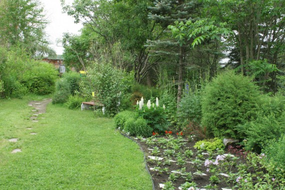 Фотография Ботанический сад им.Г.Демидова 11