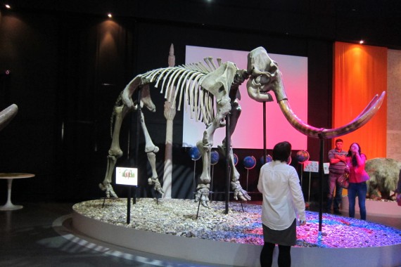 Фотография Музей пермских древностей 2