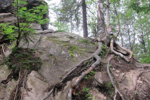 Фотография Каменный Город 71