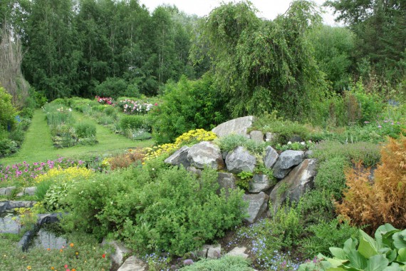 Фотография Ботанический сад им.Г.Демидова 0