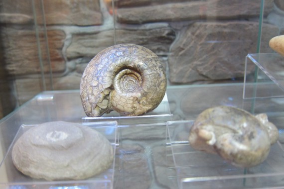 Фотография Музей пермской нефти 11