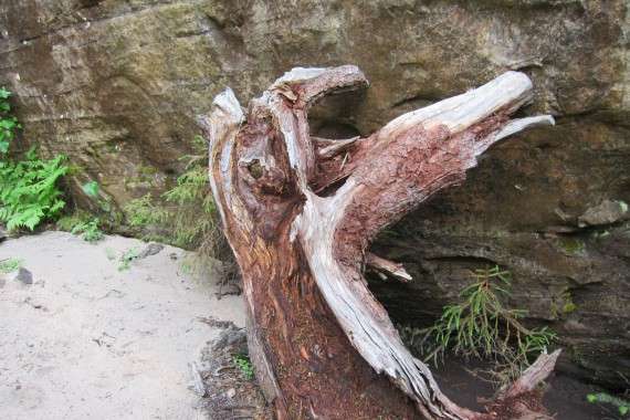 Фотография Каменный Город 74