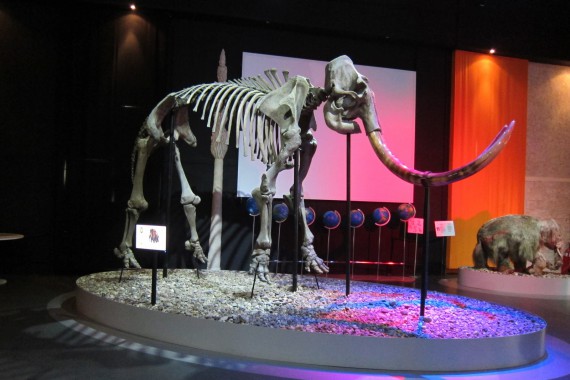 Фотография Музей пермских древностей 4