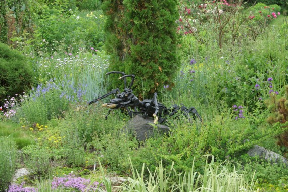 Фотография Ботанический сад им.Г.Демидова 16