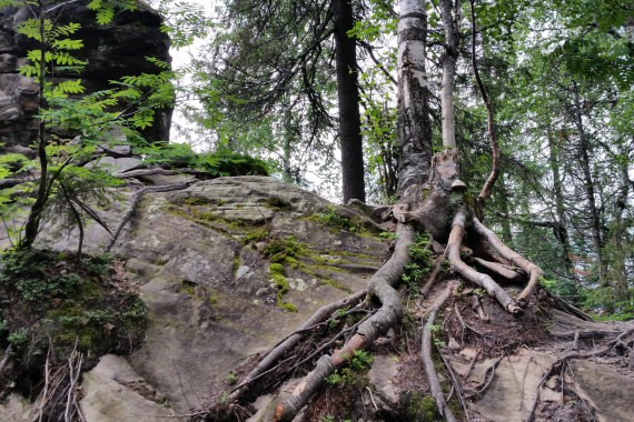 Фотография Каменный Город 20