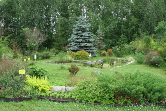 Фотография Ботанический сад им.Г.Демидова 4