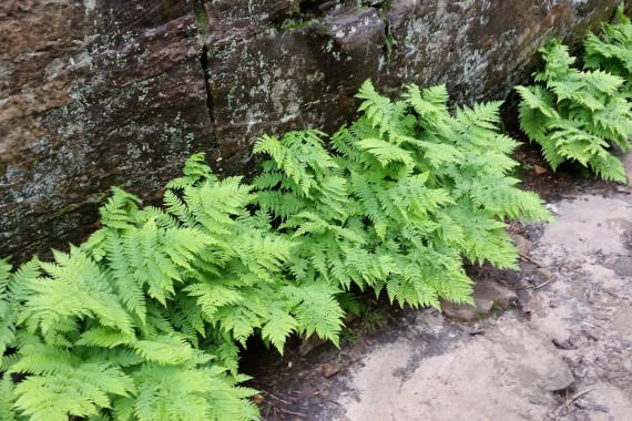 Фотография Каменный Город 8