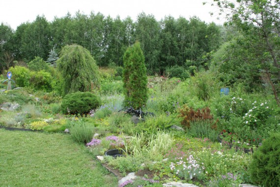 Фотография Ботанический сад им.Г.Демидова 17