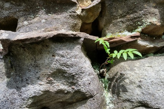 Фотография Каменный Город 24