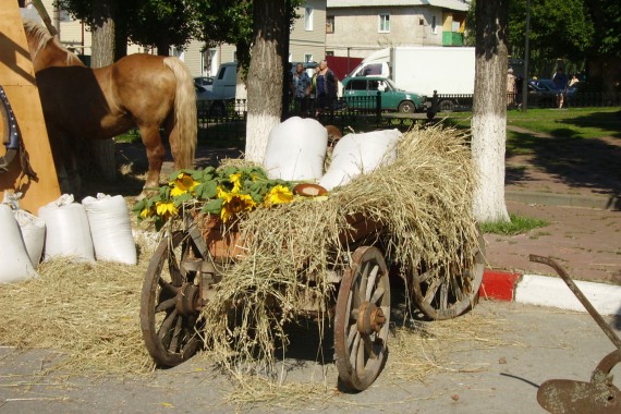 Фотография Фестиваль «Пир на весь мир» 14
