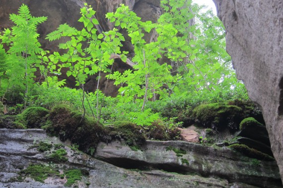 Фотография Каменный Город 58