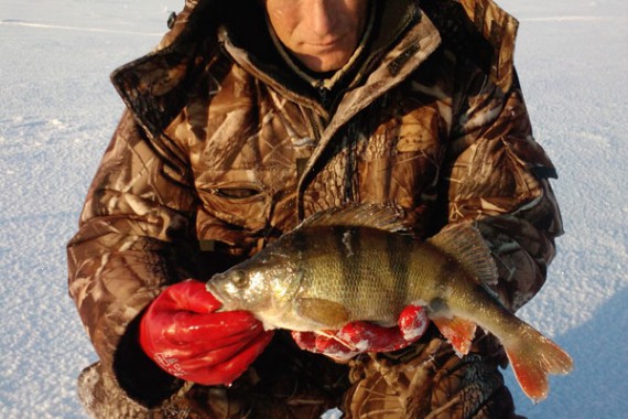 Фотография Рыболовно-охотничья база «Ухра» 22