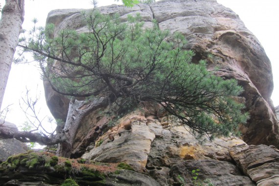 Фотография Каменный Город 67