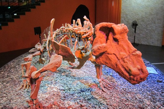 Фотография Музей пермских древностей 7