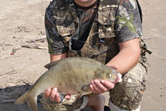 Фотография Рыболовно-охотничья база «Ухра» 38