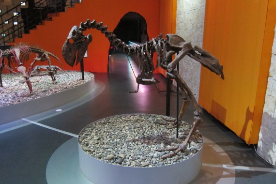 Фотография Музей пермских древностей 5