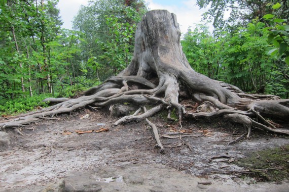 Фотография Каменный Город 38