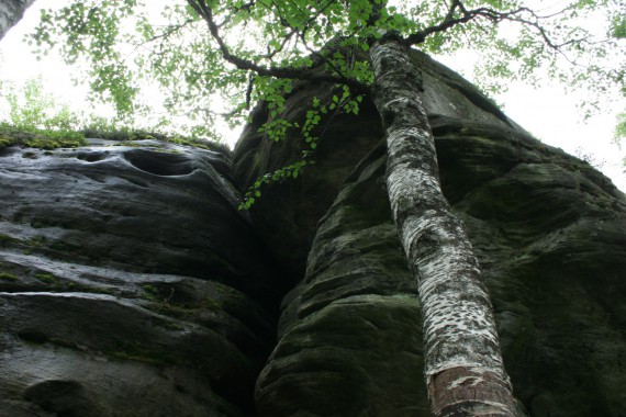 Фотография Каменный Город 96