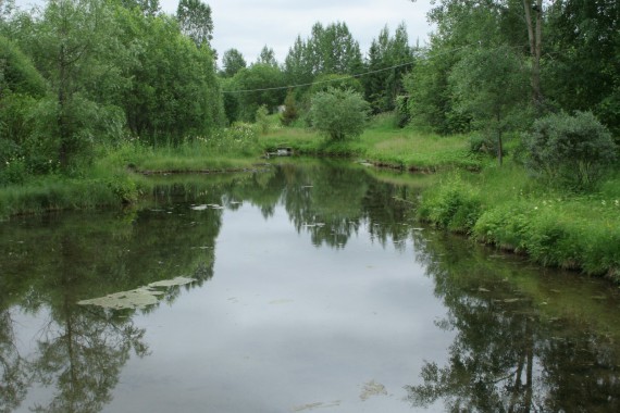 Фотография Ботанический сад им.Г.Демидова 15