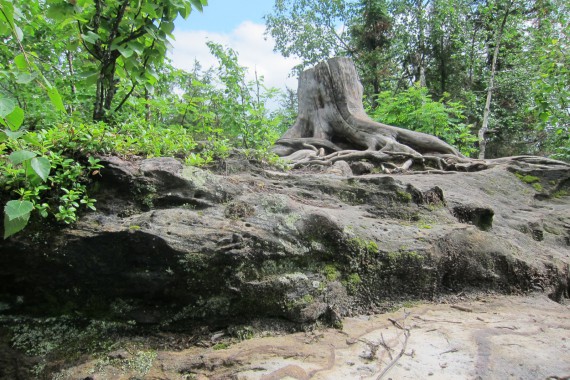 Фотография Каменный Город 40