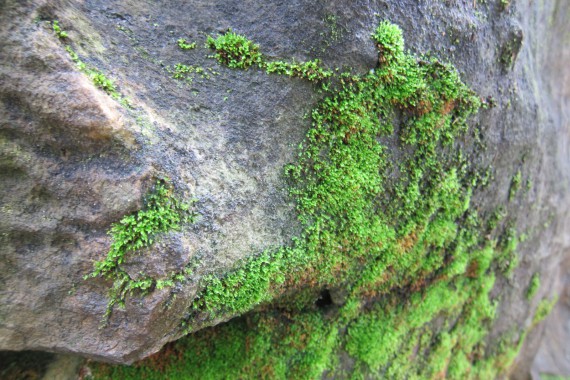 Фотография Каменный Город 72