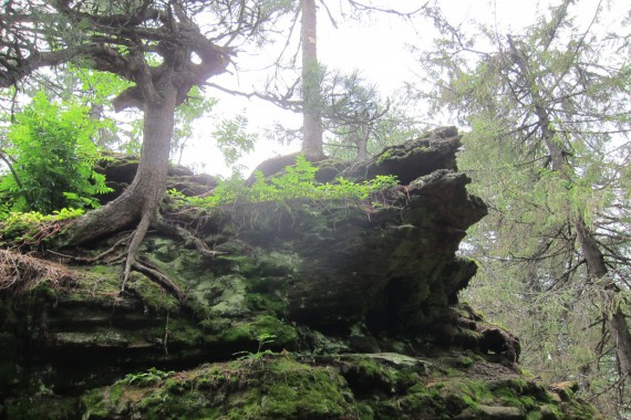 Фотография Каменный Город 32