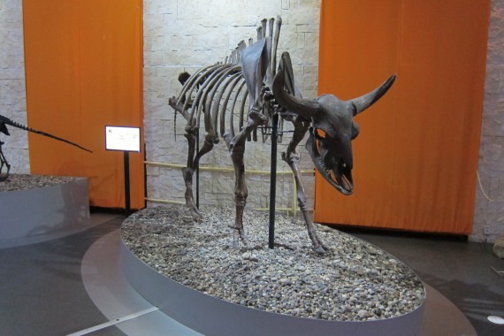 Фотография Музей пермских древностей 1